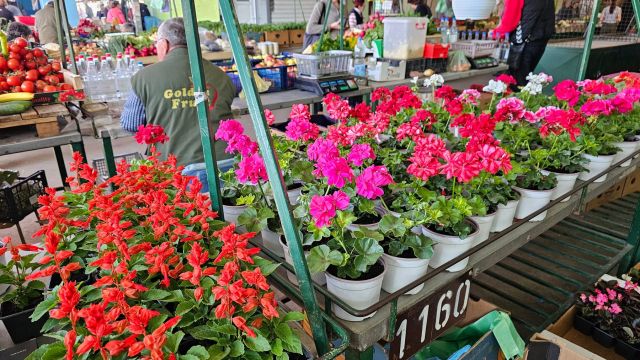 Oglašena Odluka za maj mesec o slobodnim prodajnim prostorima koji se nude postupkom neposredne pogodbe