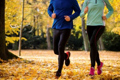 Muške, ženske i dečije trenerke